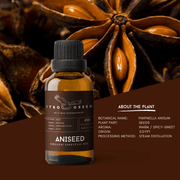 Organic Aniseed Essential Oil | 30ml / 1oz UV Bottle | Unblended | Aromatherapy | Vegan | Spirituality| Nature Heals - ITBO Green