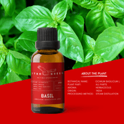 Organic Basil Essential Oil | 30ml / 1oz UV Bottle | Unblended | Aromatherapy | Vegan | Spirituality| Nature Heals - ITBO Green