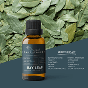 Organic Bay Leaf Essential Oil | 30ml / 1oz UV Bottle | Unblended | Aromatherapy | Vegan | Spirituality| Nature Heals - ITBO Green
