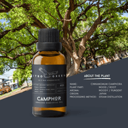 Organic Camphor Essential Oil | 30ml / 1oz UV Bottle | Unblended | Aromatherapy | Vegan | Spirituality| Nature Heals - ITBO Green