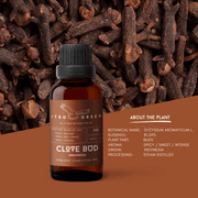 Organic Clove Bud (Indonesia) Essential Oil | 30ml / 1oz UV Bottle | Pure Herbaceous Oil | Unblended | Aromatherapy | Vegan | Spirituality| Nature Heals - ITBO Green