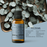 Organic Eucalyptus Radiata Essential Oil | 30ml / 1oz UV Bottle | Pure Camphoraceous Oil | Unblended | Aromatherapy | Vegan | Spirituality| Nature Heals - ITBO Green
