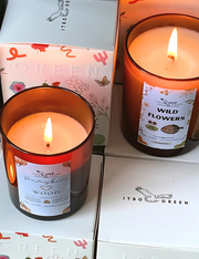 Pumpkin Loves Wood Candle - 300g