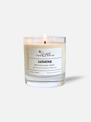 Jasmine Absolute Oil Candle