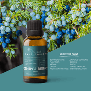 Organic Juniper Berry Essential Oil | 30ml / 1oz UV Bottle | Unblended | Aromatherapy | Vegan | Spirituality| Nature Heals - ITBO Green
