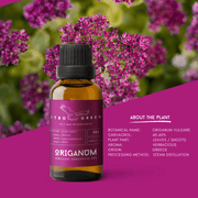 Organic Origanum Essential Oil | 30ml / 1oz UV Bottle | Unblended | Aromatherapy | Vegan | Spirituality| Nature Heals - ITBO Green