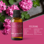 Organic Rose Geranium (South Africa) Essential Oil | 30ml / 1oz UV Bottle | Pure Woody Oil | Unblended | Aromatherapy | Vegan | Spirituality| Nature Heals - ITBO Green