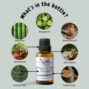 Rainforest Essential Oil Blend | Uplifting Essential Oil for Diffuser | Scent To Relax & Unwind | Aromatic Home fragrance | 30 ml / 1 Fl oz