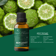Organic Bergamot Essential Oil | 30ml / 1oz UV Bottle | Unblended | Aromatherapy | Vegan | Spirituality| Nature Heals - ITBO Green