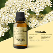 Organic Blue Yarrow Essential Oil | 30ml / 1oz UV Bottle | Unblended | Aromatherapy | Vegan | Spirituality| Nature Heals - ITBO Green