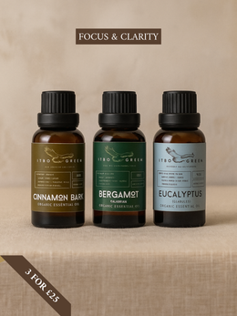 Calm & Focus Essential Oil Trio – Organic Cinnamon Bark, Bergamot & Eucalyptus Bundle