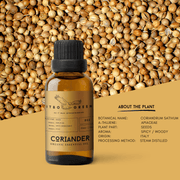 Organic Coriander Essential Oil | 30ml / 1oz UV Bottle | Unblended | Aromatherapy | Vegan | Spirituality| Nature Heals - ITBO Green