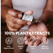 Rainforest Essential Oil Blend | Uplifting Essential Oil for Diffuser | Scent To Relax & Unwind | Aromatic Home fragrance | 30 ml / 1 Fl oz