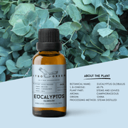 Organic Eucalyptus Globulus Essential Oil | 30ml / 1oz UV Bottle | Pure Camphoraceous Oil | Unblended | Aromatherapy | Vegan | Spirituality| Nature Heals - ITBO Green
