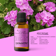 Organic Geranium Essential Oil | 30ml / 1oz UV Bottle | Pure Floral Oil | Unblended | Aromatherapy | Vegan | Spirituality| Nature Heals - ITBO Green