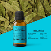 Organic Laurel Leaf Essential Oil | 30ml / 1oz UV Bottle | Unblended | Aromatherapy | Vegan | Spirituality| Nature Heals - ITBO Green