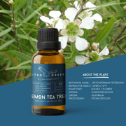 Organic Lemon Tea Tree Essential Oil | 30ml / 1oz UV Bottle | Pure Citrusy Oil | Unblended | Aromatherapy | Vegan | Spirituality| Nature Heals - ITBO Green