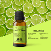 Organic Lime (Persian / Tahiti) Essential Oil | 30ml / 1oz UV Bottle | Unblended | Aromatherapy | Vegan | Spirituality| Nature Heals - ITBO Green