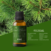 Organic Pine Essential Oil | 30ml / 1oz UV Bottle | Pure Woody Oil | Unblended | Aromatherapy | Vegan | Spirituality| Nature Heals - ITBO Green