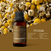 Organic Roman Chamomile Essential Oil | 30ml / 1oz UV Bottle | Unblended | Aromatherapy | Vegan | Spirituality| Nature Heals - ITBO Green