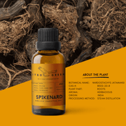 Organic Spikenard Essential Oil | 30ml / 1oz UV Bottle | Unblended | Aromatherapy | Vegan | Spirituality| Nature Heals - ITBO Green