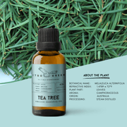 Organic Tea Tree Essential Oil | 30ml / 1oz UV Bottle | Pure Camphoraceous Oil | Unblended | Aromatherapy | Vegan | Spirituality| Nature Heals - ITBO Green