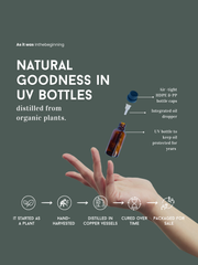 Organic Fennel Seed Essential Oil 30ml