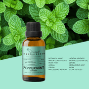 Organic Peppermint (Japanese) Essential Oil 30ml